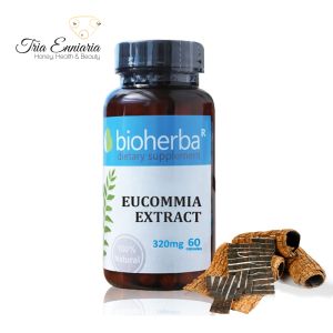Eucomia-Extrakt, 320 mg, 60 Kapseln, Bioherba