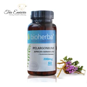 Pelargonium, 200 mg, 60 Kapseln, Bioherba